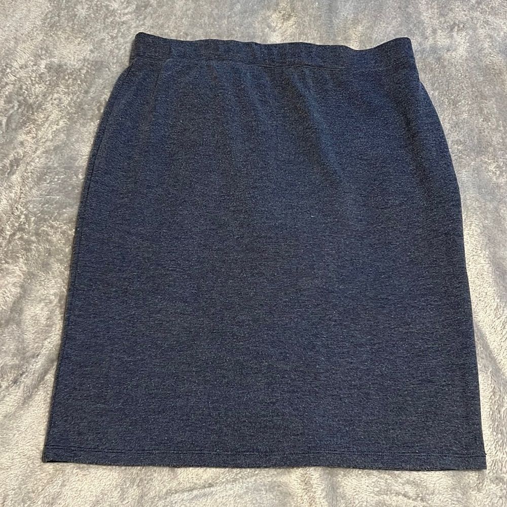 Summer & Sage skirt. Slate gray. Large